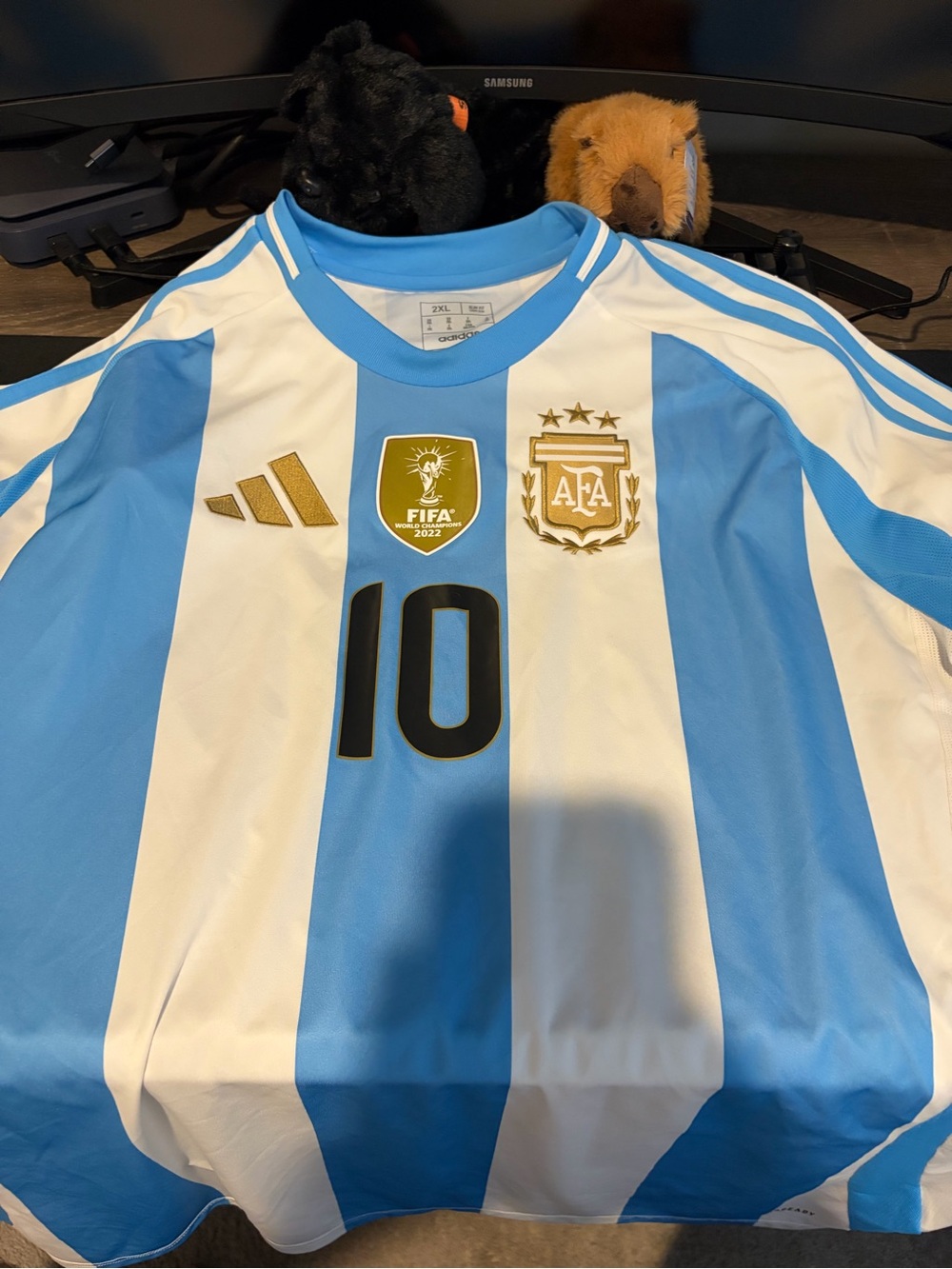adidas Men’s XXL Argentina Soccer Jersey in Sky Blue & White with #10